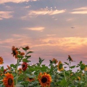 Meet your Posher, Todd